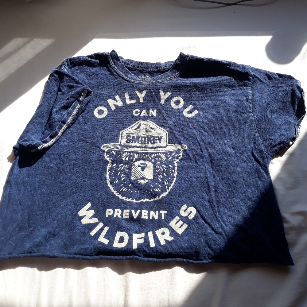 Smokey The Bear Distressed Croptop